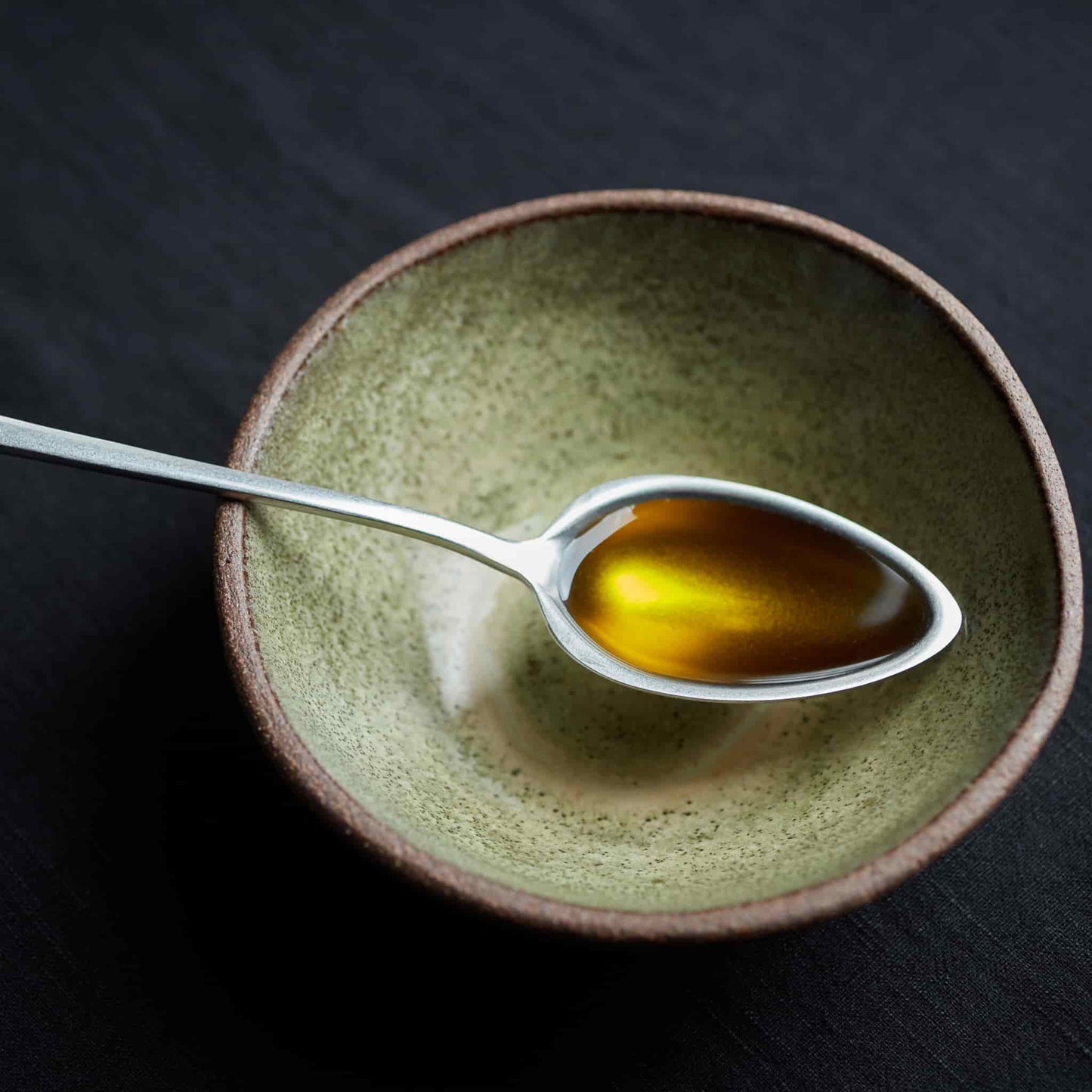 Gestura Silver Chef's Spoon